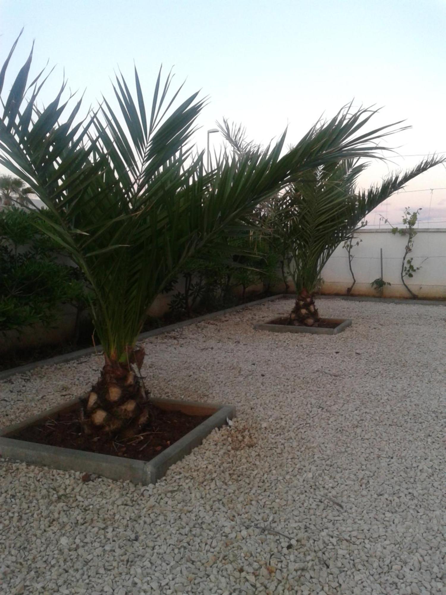 Apartament Ayla